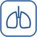 Logo IPF Study