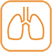 Gezondheidsmeter Spirometer